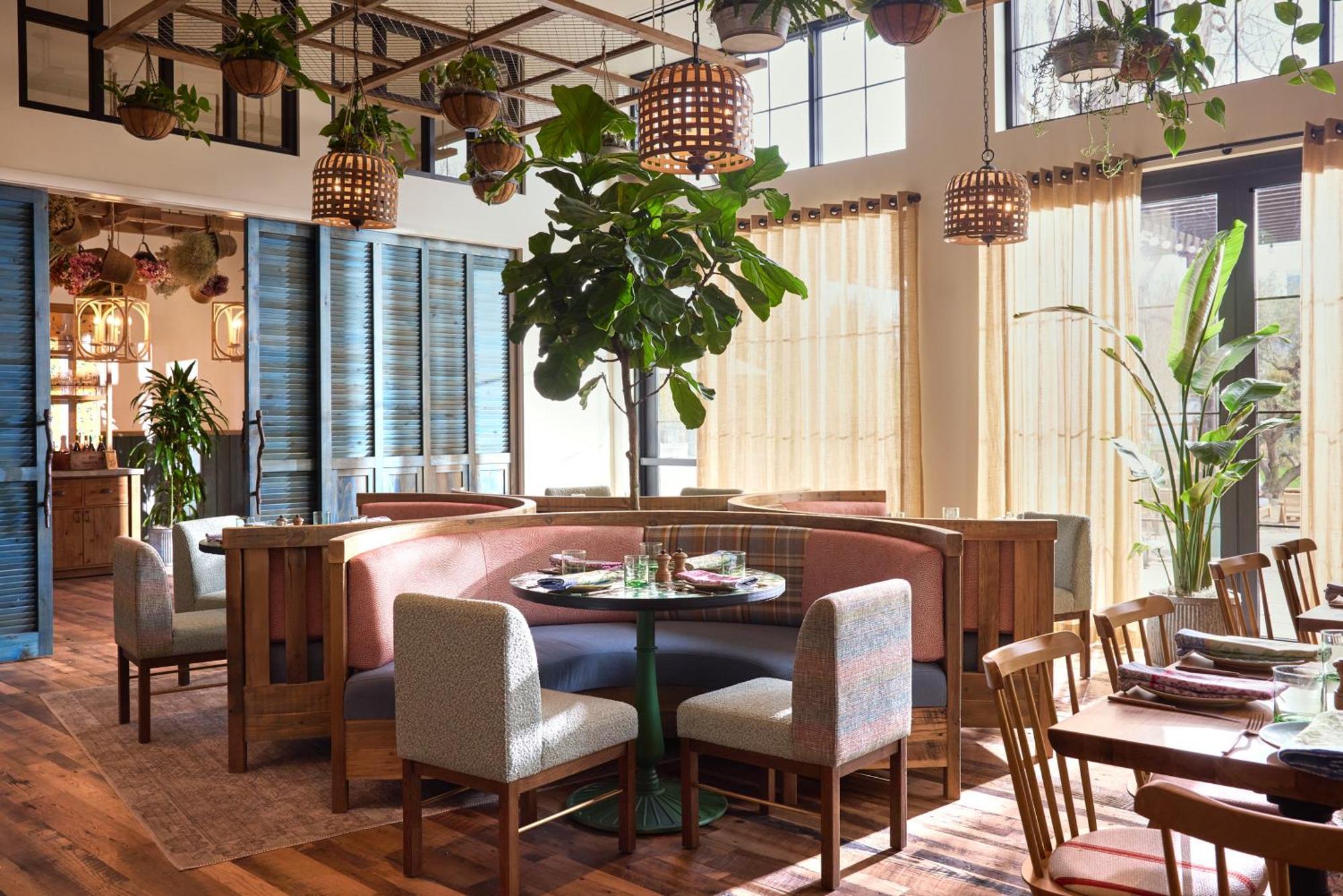 Treehouse Hotel Silicon Valley Саннівейл Екстер'єр фото