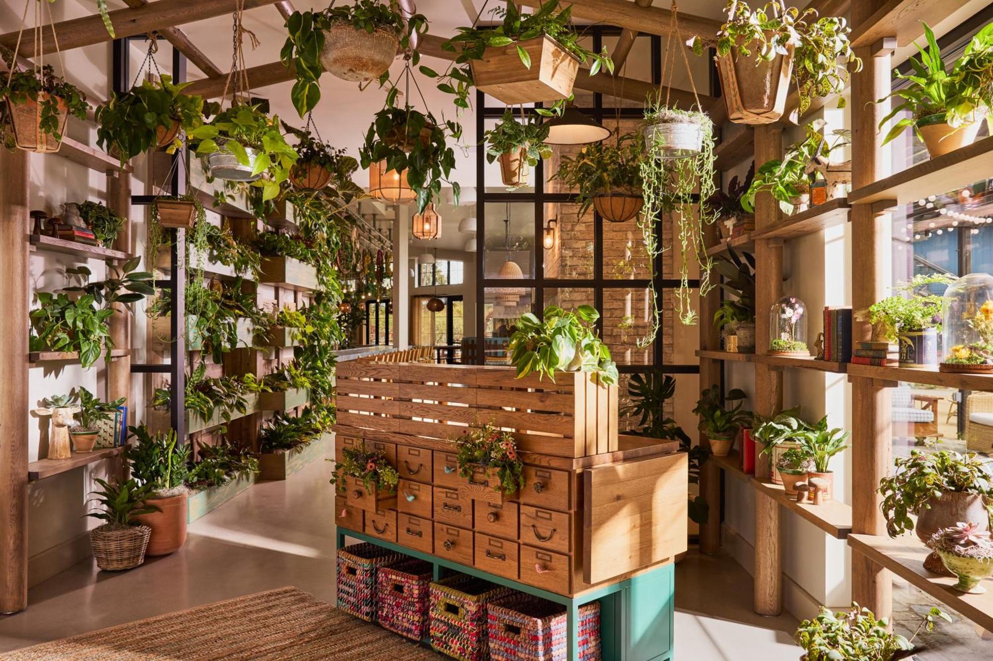 Treehouse Hotel Silicon Valley Саннівейл Екстер'єр фото